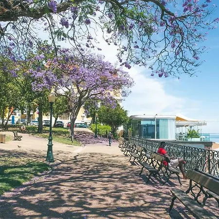 Olival Terrace | Lapa & Santos Apartamento Lisboa